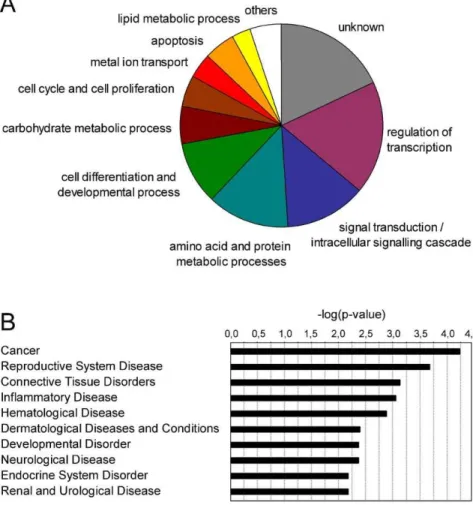 Figure 3. Biological processes regulated by the selected androgen-target genes. (A) Pie-graph representing genes categorized according to most prominent biological function