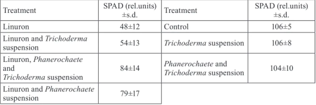 Table 3. Parameters of chlorophyll content measured in situ (SPAD) as influenced by  herbicide and different fungal treatments in field conditions.