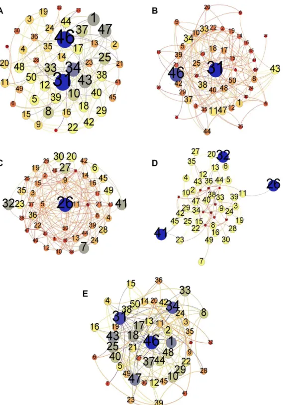 Figure 1. Methodology Pipeline. (a) Degree Centrality. (b) Betweenness Centrality. (c) Closeness Centrality