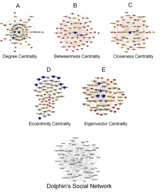 Figure 4. Dolphins Social Network. Figure 4 represents Dolphins social network. The details of the nodes identity are not given in the originally compiled data, therefore we assume the network laid out randomly consists of source, target and intermediate n