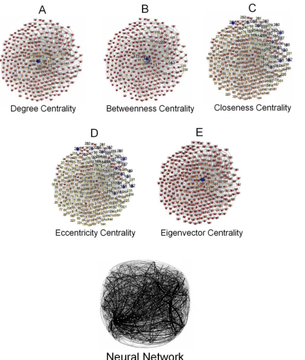 Figure 5. Neural Network. Figure 5 represents a neural network of nematode Caenorhabditis elegans