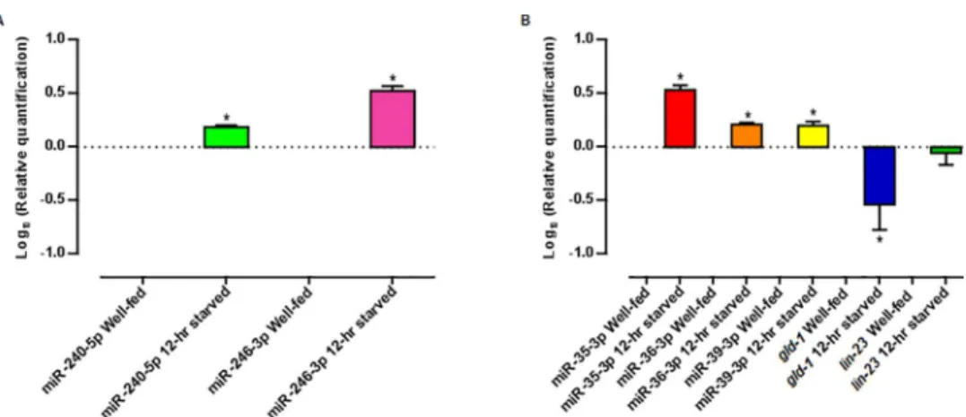Fig 7. Expression of selected miRNAs and mRNAs involved in the fasting response as quantified by qRT-PCR