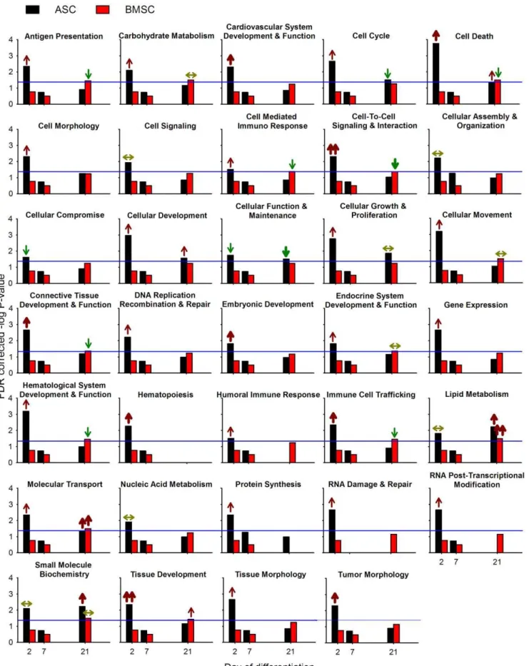 Figure 3. Functional analysis of differentially expressed genes between adipogenic and osteogenic differentiation in ASC and BMSC