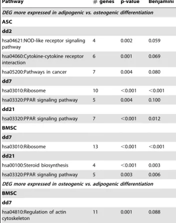 Table 2. KEGG pathways significantly enriched with a Benjamini-Hochberg FDR # 0.10 in DAVID analysis for DEG between adipogenesis and osteogenesis in ASC and BMSC.