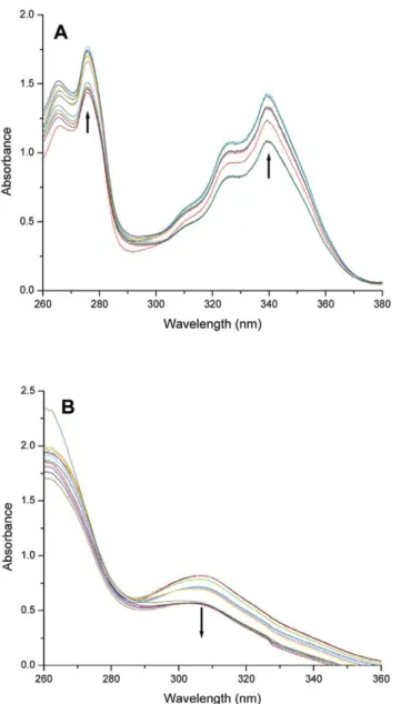Table 3. UV-Visible spectral titration results for binding of PBD1, PBD2, and TMPyP4 to d(T 2 G 8 ) G-quadruplex.