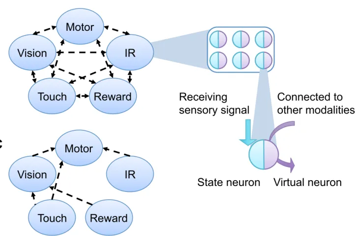 Figure 1. Structure of the neural network. A: Five sub-systems for each sensor or motor modules make up the whole cognitive system of the robots