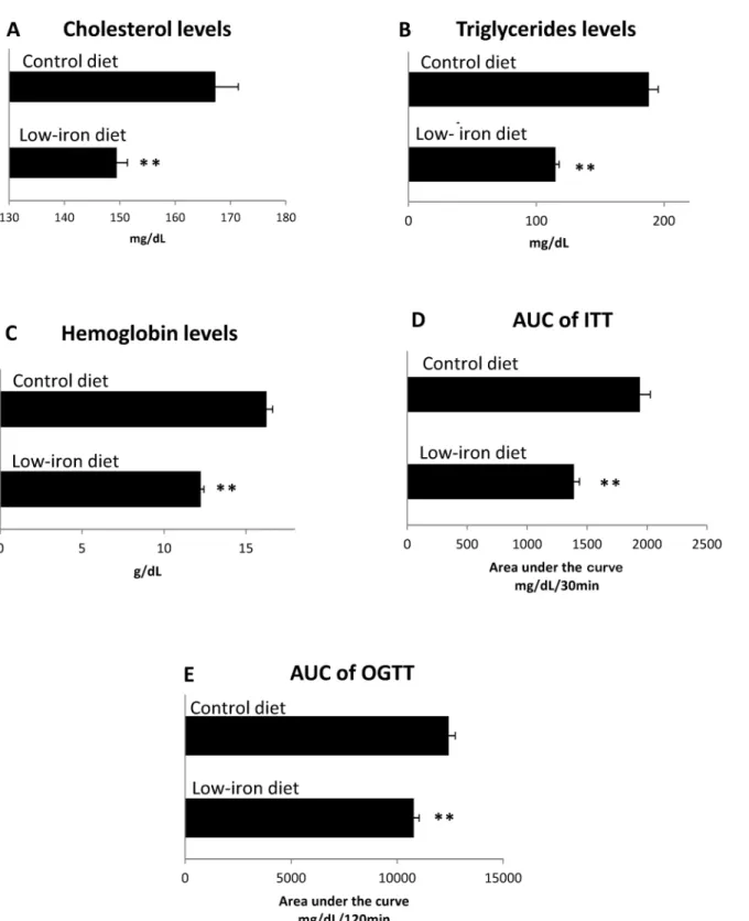 Fig 3. Effects of a low-iron diet on healthy rats. Healthy rats were analyzed after 8 weeks on a low-iron diet (n = 10), or control diet (n = 10)