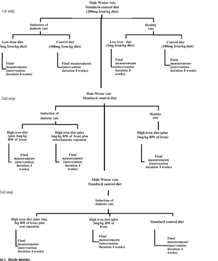 Fig 1. Study design.