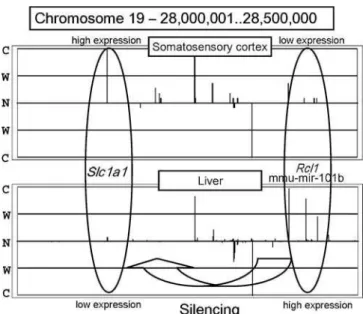 Figure S1. Genomic Expression Patterns for Chromosome 5 in Liver and Chromosome 11 in Muscle