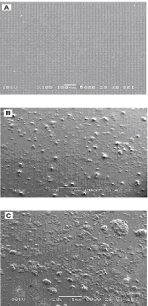 Figura 2: Micrografías de los blancos. Superficies con condicio- condicio-nes de mojado A) agua, B) intermedio C) al crudo