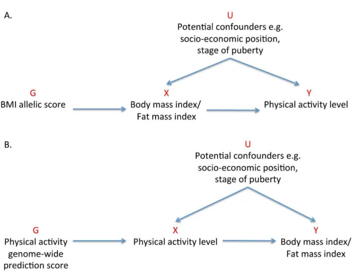 Figure 1. Addressing the causal directions of effect in the association between adiposity and physical activity with the use of allelic scores and Mendelian randomization analysis