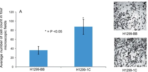 Figure 3. CD133+ cells expressing RASSF1C form tumor spheres more robustly than control cells