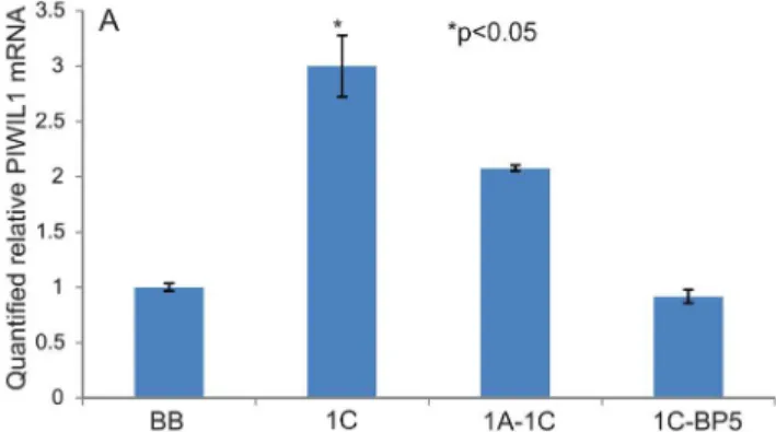 Figure 7. Effect of RASSF1C-IGFBP5 interaction on PIWIL1 mRNA expression. Piwil1 mRNA expression was assessed in H1299 cells stably transduced with MLV-HA-back bone (BB), MLV-HA-RASSF1C (1C), MLV-HA-RASSF1A and 1C (1A-1C) and MLV-HA-1C and IGFBP-5 (1C-BP5)