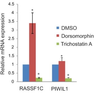 Table 1. PCR array screen.