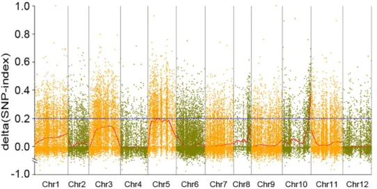 Fig 2. Graph of Δ (SNP-index) from analysis of SLAF-seq marker-trait association. The X-axis represents chromosomal position and the Y-axis represents Δ (SNP-index)