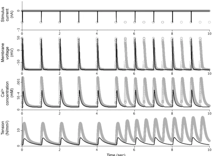 Fig 4 shows the simulation results for the SemGen-generated PHT model. All equation for- for-mulations and initial conditions from the original source models are preserved in this merged model; no manual, post-merge changes were made.
