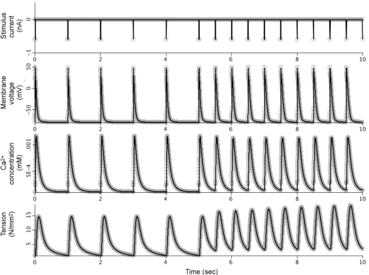 Fig 3. Comparison between simulation results from the original PHN model and the manually-modified SemGen-generated version