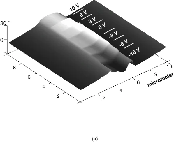 Figure 2. EFM images for an corona charged electret fiber specimen (E) as a function of applied  tip bias voltage