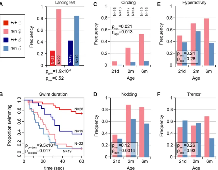 Fig 1. Mutant nmf9 animals show age and sex-dependent vestibular dysfunction. (A) Landing test showed increased frequency of rotation or curling by nmf9 homozygotes relative to control (+/+) littermates (Fisher's exact test, p = 1.9x10 -8 between genotypes