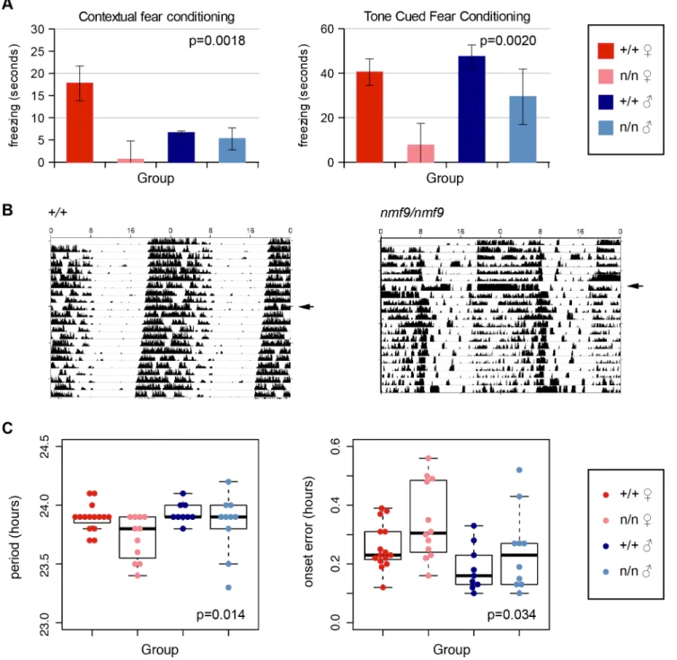 Fig 4. Nmf9 is important to fear learning and circadian rhythm. (A) Mutant animals showed decreased freezing behavior in both tone cued and contextual fear conditioning