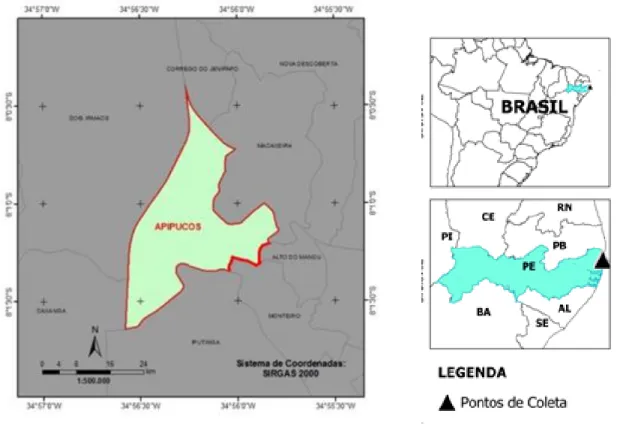 Figure 1: Study area, Apipucos Maximiano Campos Park 