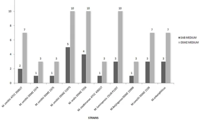 Figure 1. Growth time of ten methanogenic archaea strains growing in culture medium SAB-medium or the standard DSMZ media.