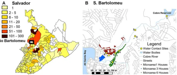 Fig 1. Distribution of schistosomiasis in Salvador and the neighborhood of S ã o Bartolomeu