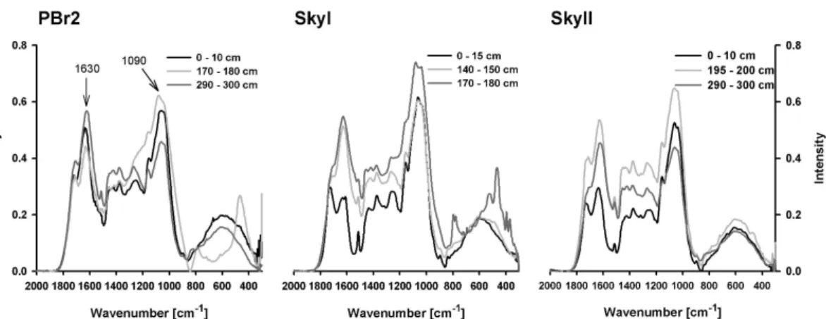 Fig. 3. FTIR-spectra of peat samples from the three bogs in di ff erent depths. Chosen samples represent upper, less decomposed peat (0–10 cm), deeper, highly decomposed peat and  sam-ples influenced by ash layer or underlying sediment (Pbr2 170–180 cm and