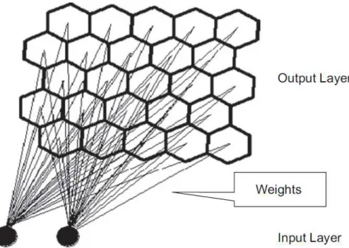 Fig. 1. Structure of a 5×5 two-dimensional self organizing map (SOM) (after Kalteh et al., 2008).