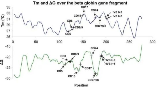 Figure 6. T m and D G calculated over the beta-globin gene fragment. The graphs are based on the nearest neighbor thermodynamic model for RNA/DNA duplexes, suggested by Sugimoto et al
