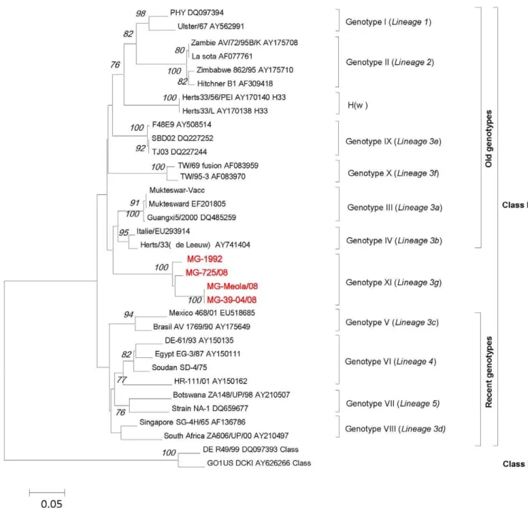 Figure 2. Phylogenetic tree (unrooted) of nucleotide sequences based on a 374-nt sequence (position 47–421 nt) of the F gene.