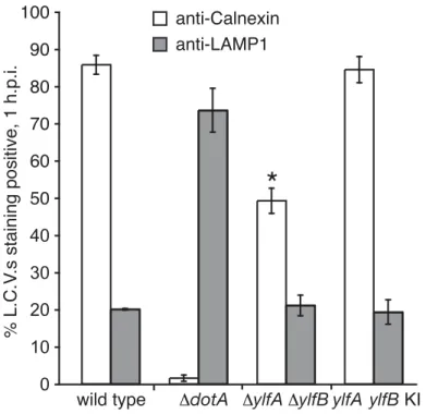 Fig 7. The Ylfs are required for efficient recruitment of ER-derived membrane to LCVs