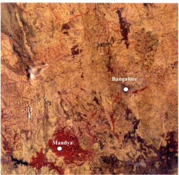 Fig. 4. Satellite image (Landsat TM) of Bangalore, Mandya and surrounding areas showing number of major lineaments.