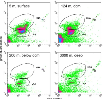 Fig. 2. Examples of four cytograms obtained after SyBR green I staining. The data comes from Station B (Ionian Sea): surface (5 m), at the dcm (125 m), below dcm (200 m) and in deep layers (3000 m)