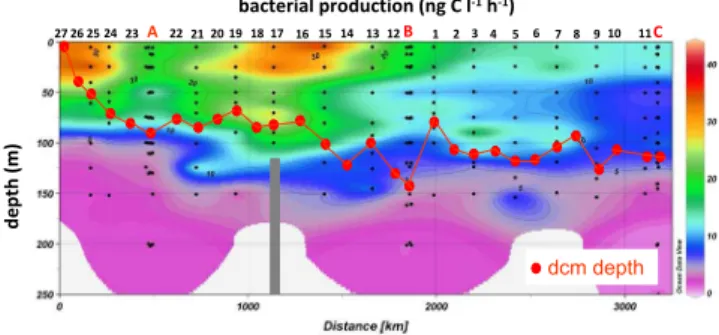 Fig. 3. Contour plot of bacterial production along the BOUM tran- tran-sect, from the most Northwestern station (left) to the most Eastern station (right) and for the 0–250 m layer