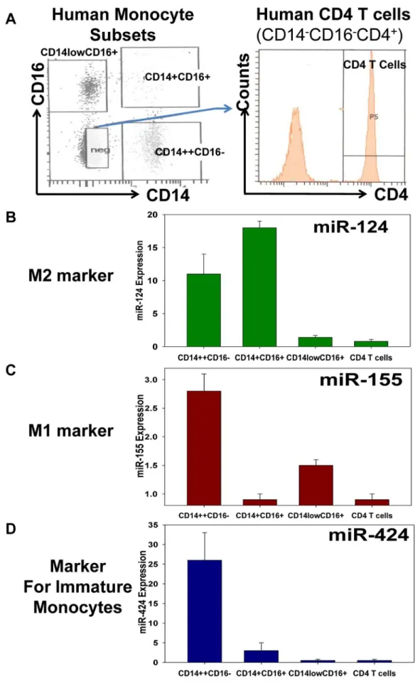 Figure 5. Analysis of expression of miR-124 (the M2 marker), miR-155 (the M1 marker) and miR-424 (the marker for immature monocytes) in the populations of classical (CD14 ++ CD16 2 ), intermediate (CD14 + CD16 + ) and non-classical (CD14 low CD16 + ) human