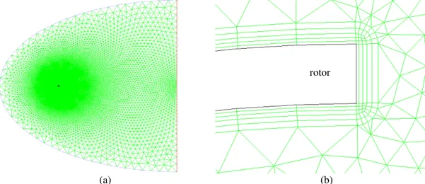 Figure 3. Computational domain and mesh: (a) entire domain (b) the region near the rotor tip