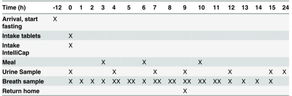 Table 3. Study schedule, activities are marked with an X (T0 is 8 a.m.).