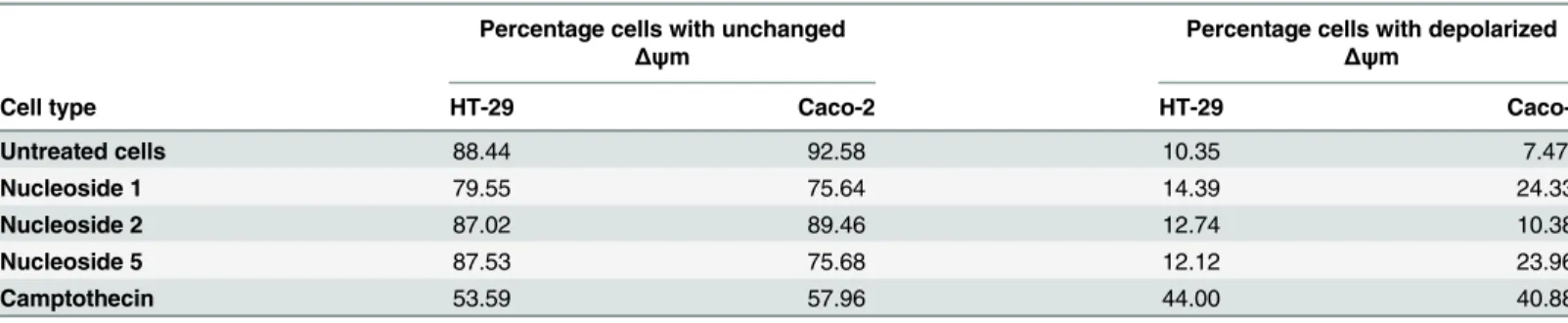 Table 1. Summary of the mitochondrial membrane potential change induced by the nucleoside analogues and camptothecin in the HT-29 and Caco-2 colon cancer cell lines.