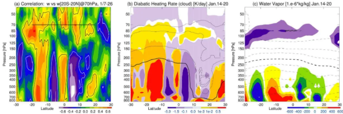 Fig. 3. (a) Latitude–pressure sections of correlation between the vertical wind averaged over 20 ◦ S–20 ◦ N at 70 hPa (thick line) and vertical wind at each level and latitude for the period of 7–26 January