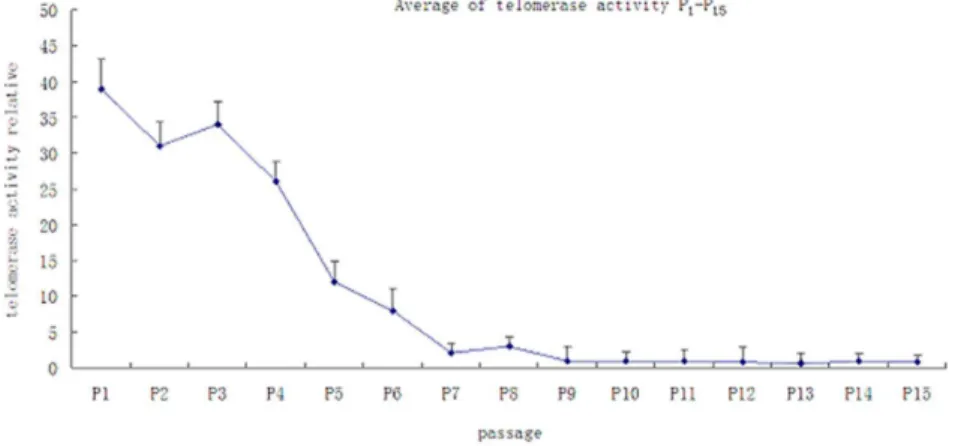 Figure 6. A conventional karyotype analysis performed at the 15 th passage (46,XY). The MSCs expanded in vitro did not show chromosome elimination, displacement, or imbalances.
