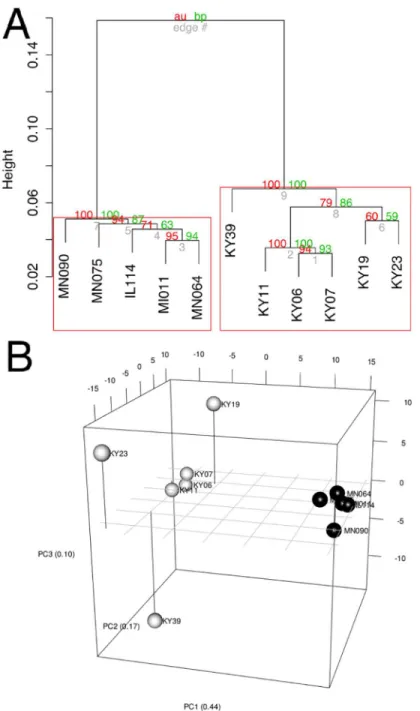 Fig 3. Clustering of gene expression patterns. (A) Bootstrap analysis of regularized-log transformed counts to assign confidence levels to sample clustering