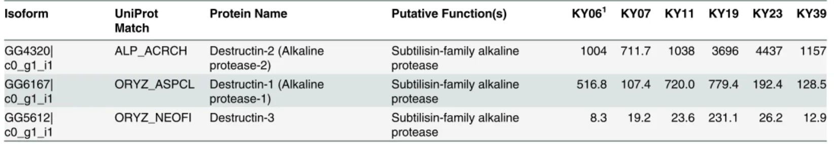 Table 4. Expression of destructin transcripts in Pd growing on WNS-affected bats.