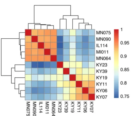 Fig 1. Hierarchical clustering of gene expression in WNS-affected and unaffected bats