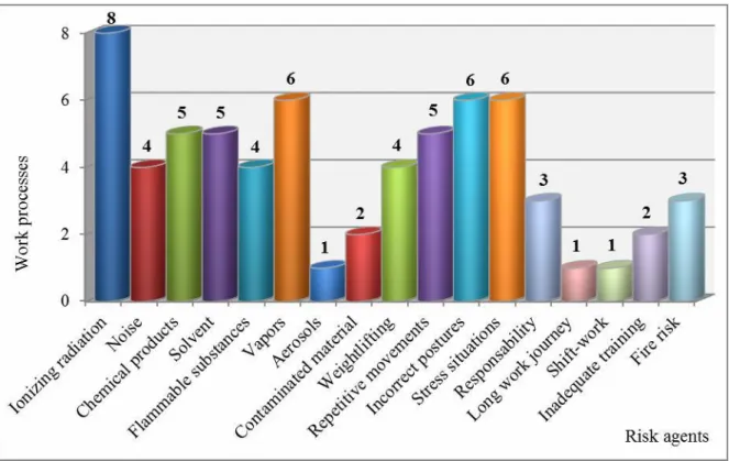 Figure 1: Identification of risk agents related to work processes 