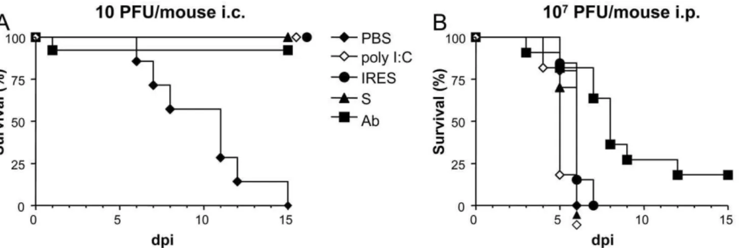 Figure 1. Survival rates of suckling mice treated with the different transcripts 24 h before infection with WNV