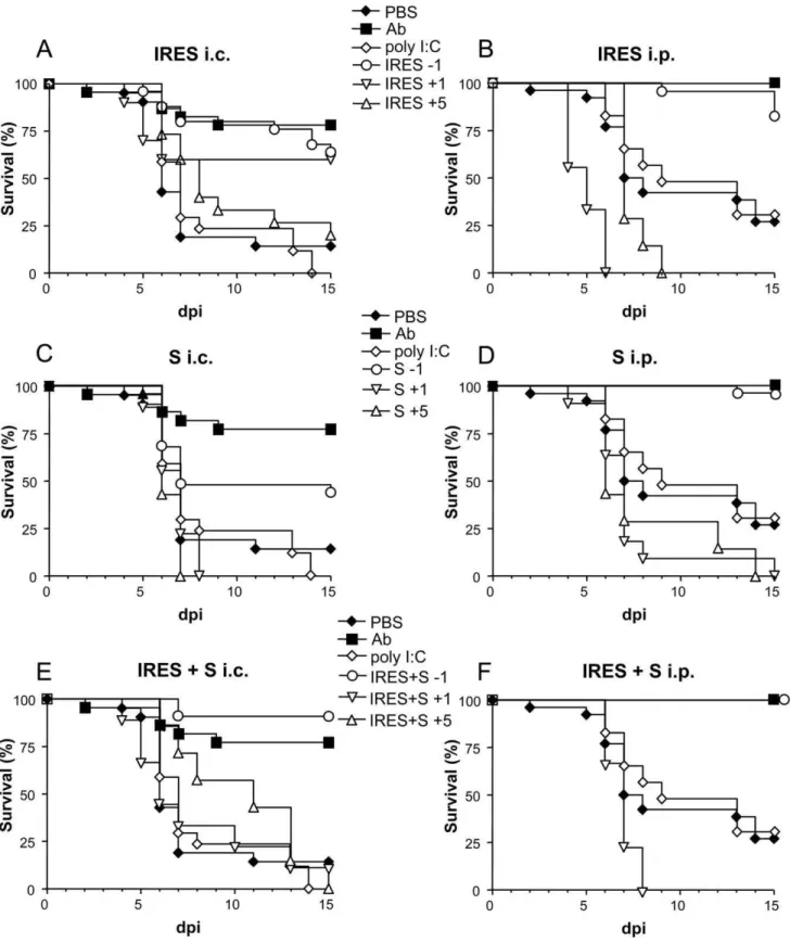 Figure 2. Survival rates of WNV infected suckling mice treated with the different transcripts at various time intervals