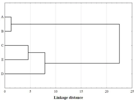 Figure 3. Cluster analysis - Ward’s method with Euclidean distance. 