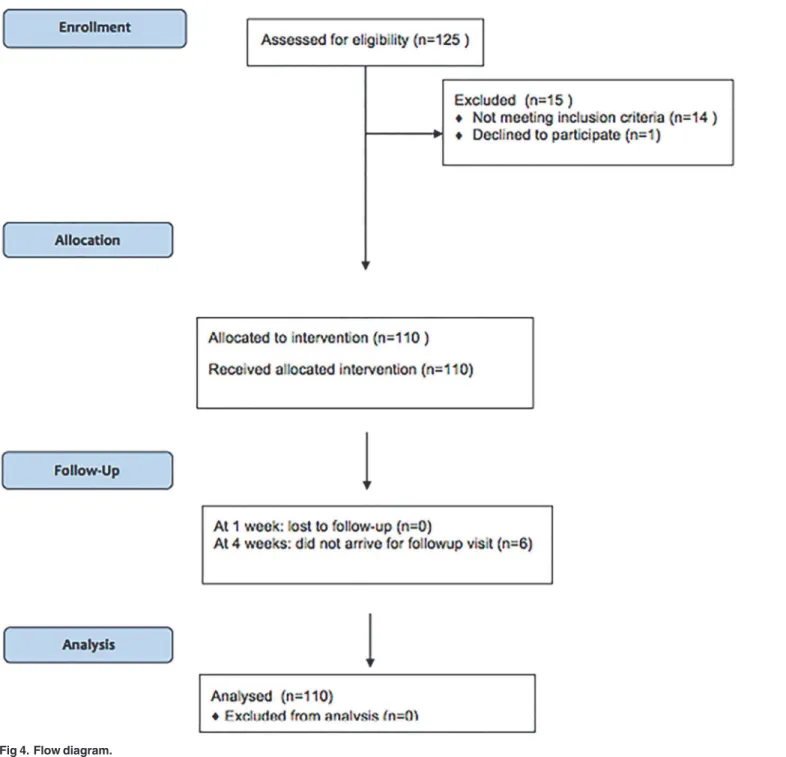 Fig 4. Flow diagram.