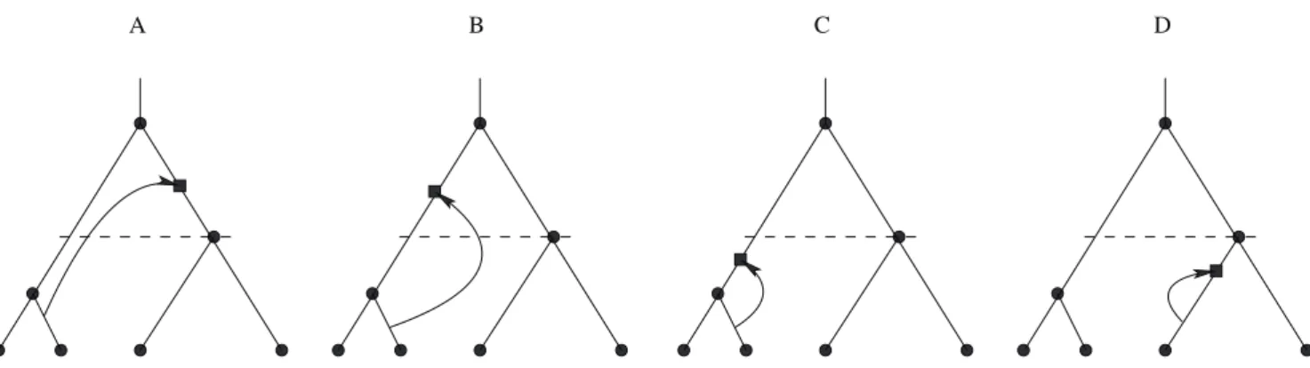 Figure 2. Non-silent, silent and hidden recombination events. A: Non-silent recombination changes tree topology